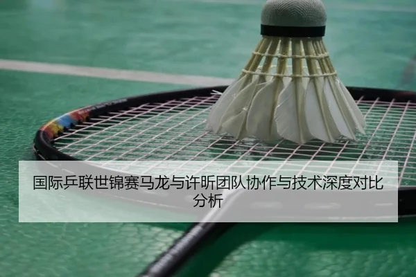 国际乒联世锦赛马龙与许昕团队协作与技术深度对比分析